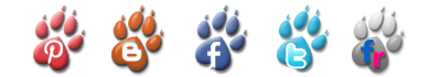Our Social Networks The Paws Of Peace